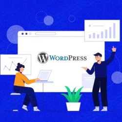 Wordpress Hosting WP-Başlangıç (Yıllık)
