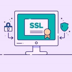 Digicert SSL (Yıllık)