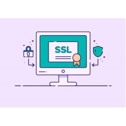 Digicert SSL (Yıllık)